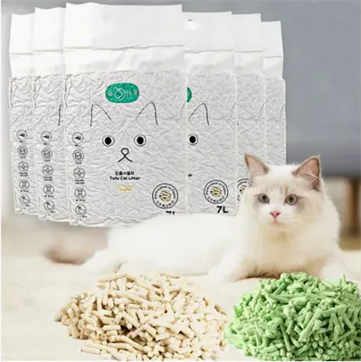 Koshachy 화장실 개발 동향